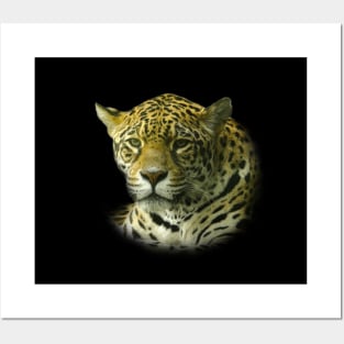Jaguar Posters and Art
